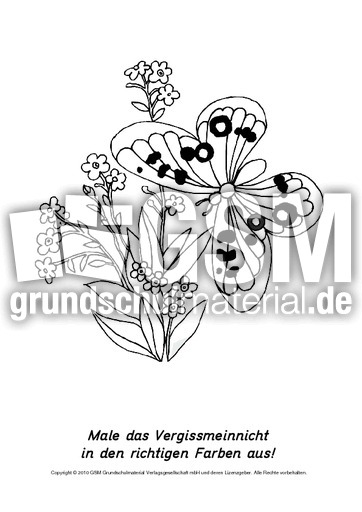 Frühlingsblüher-Ausmalbilder 22.pdf